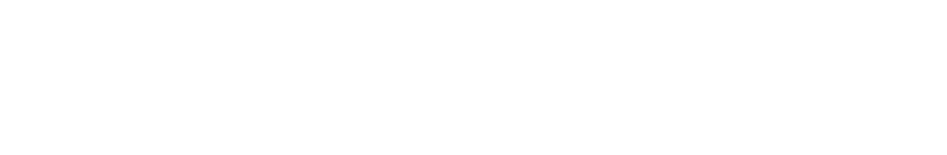 Apollo Capital Solutions